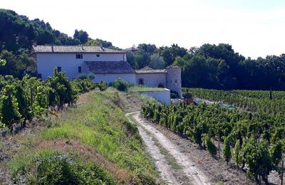 Gigondas..