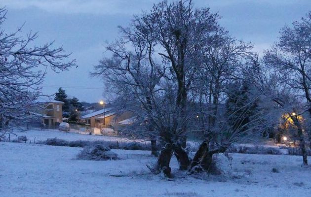 MOUNELUNA  : Le Retour