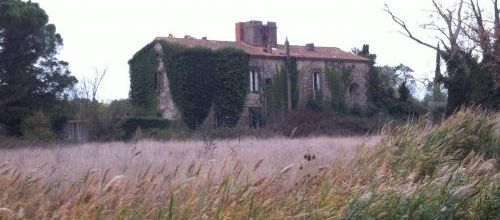 Expropriation, domaine et Bovidé