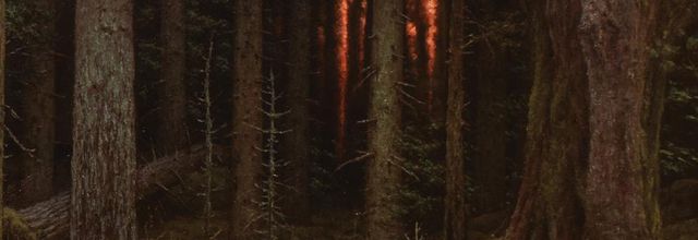 A Fresh Dose of Epic Blackened Folk Metal - A Review of Cân Baard's Devoured by the Oak