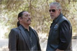 Testosterone moderne