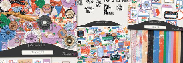 Fieldnotes #15