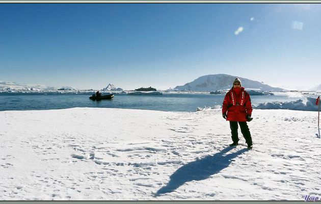 Débarquement sur la banquise - Wilhelmina Bay - Péninsule Antarctique