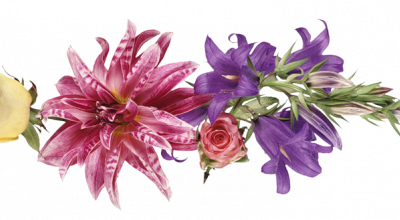 coucou bonne fin de semaine et gros bisous 