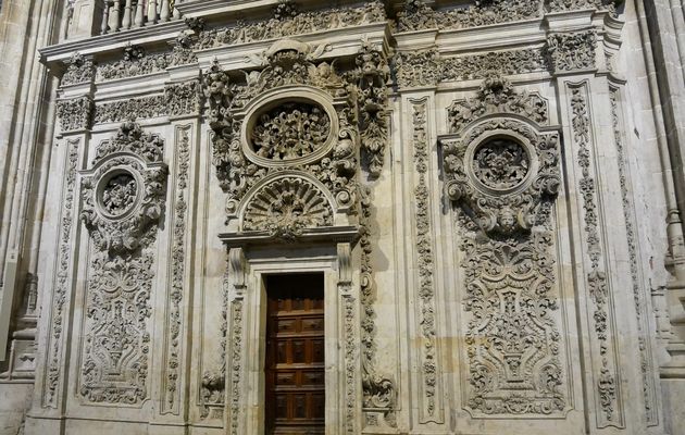  Le 14 et 15 avril : Salamanque 2 : la cathédrale encore