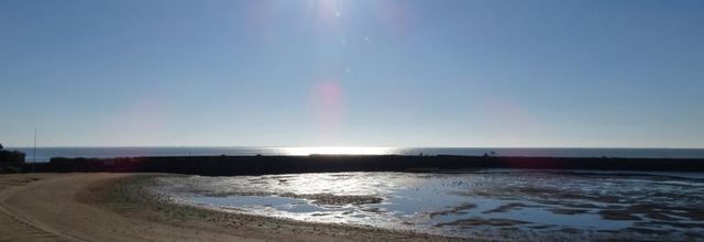 Oiseaux du littoral la Bernerie en retz 2022