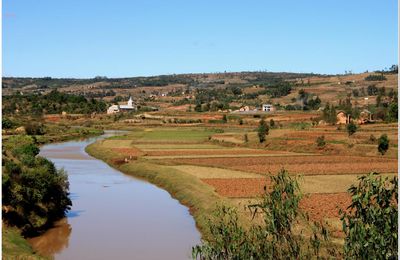 LES  RIZIERES  MALGACHE  SOUVENIRS 