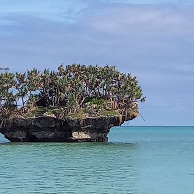 Nouvelle Calédonie...