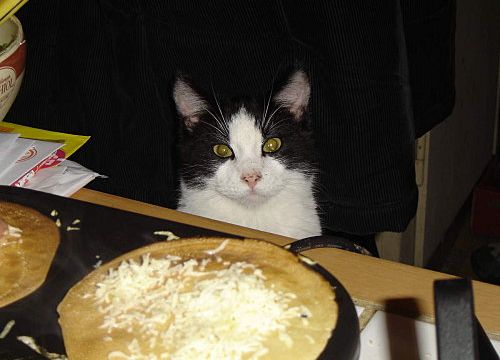 CHOUETTTE DES CREPES