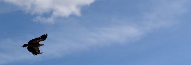 des rencontres à  Cáceres - Canaveral