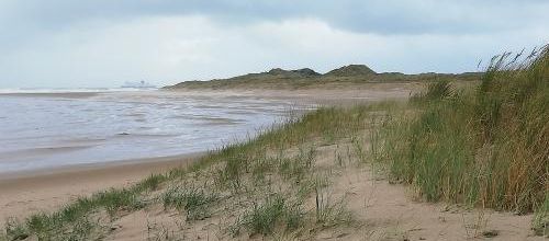 À vos bâtons dès dimanche !
