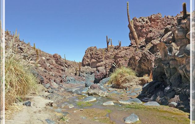 18/03/2022 : Après la randonnée au milieu des cactus, nous arrivons à une belle cascade (qui sera vue depuis le haut) et ce sera l'heure du retour - Cañon de Gatin - Désert d'Atacama - Chili