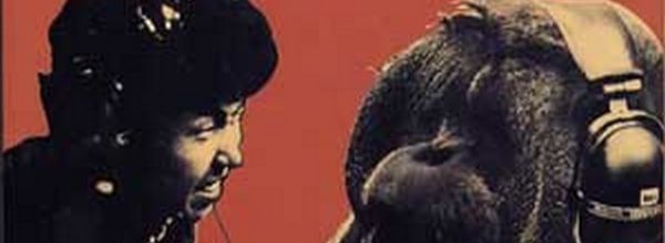 Isao Suzuki : Album " Orang-Utan " Three Blind Mice Records TBM-44 [ JP ]