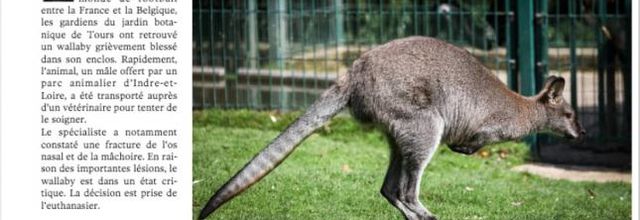 QU'EST-IL ARRIVE AU WALLABY JARDIN BOTANIQUE TOURS