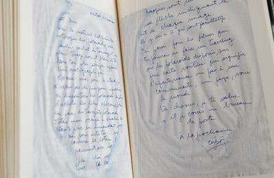 STORY OF MY HAIR-HISTOIRE DE MES CHEVEUX, BORIS LEHMAN
