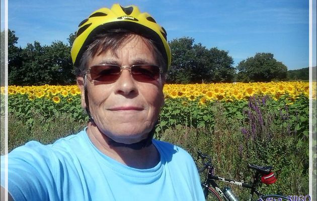 Les Tournesols à la manière du Pays des Ours...