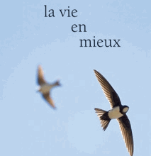 Nouveautés et Coups de Coeurs 