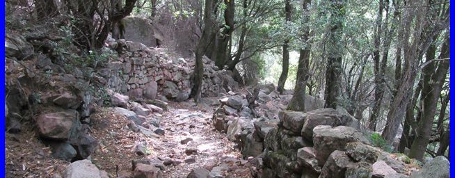 Corse 2016 Ota-Evisa par les gorges de Spelunca