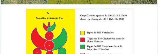 85 - News-Ovnis de NFO : Le Cleptoparasitisme des Aliens !