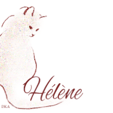 signature animée CHAT