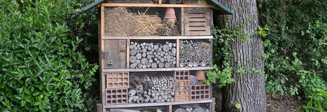 Jardin du Luxembourg : La maison des insectes