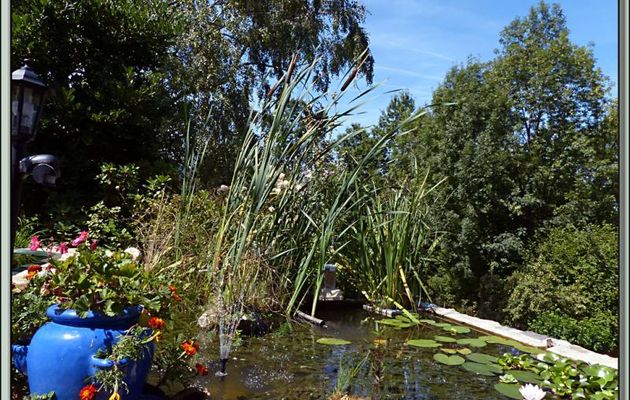 Bassin à poissons en ce début septembre - Lartigau - Milhas - 31