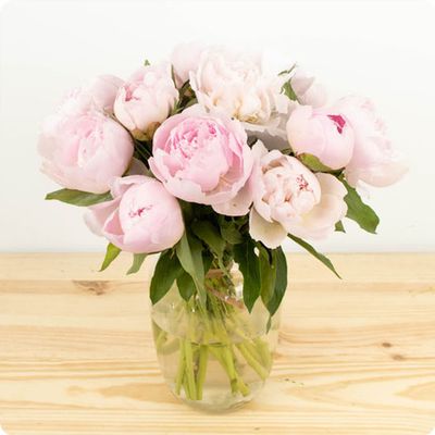 bonne fête des mères à tous 