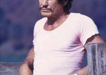 CHARLES BRONSON BOX OFFICE