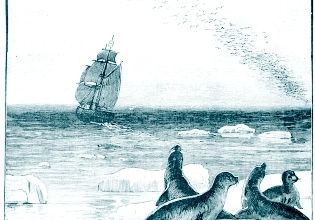 Bon de commande bibliothèques, CDI, organismes.
