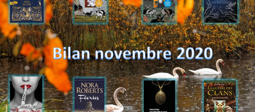 Bilan novembre 2020