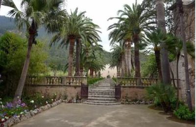 Les jardins d'Alfabia...sur la route de soller