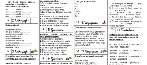 Plan de travail CE1 2013-2014 numéro 13