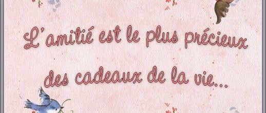 L AMITIE   CADEAU POUR VOUS
