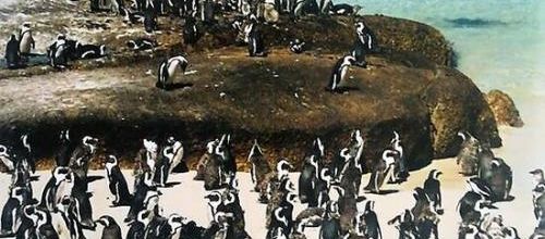 Ma photo préférée du 22 février