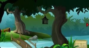 Cage parrot escape soluce