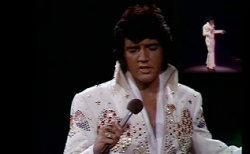 elvis no more 73