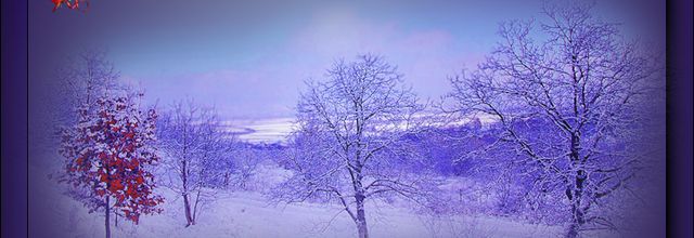 Mist paysage hiver 3