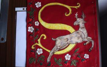 Le cerf : 