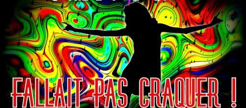 Une suite à FALLAIT PAS L'INVITER !