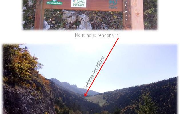 Balade "route forestière les Allières" en Vercors