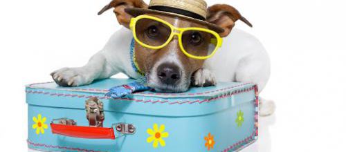BUONE VACANZE ! 
