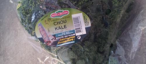 Quid du Chou Kale ?