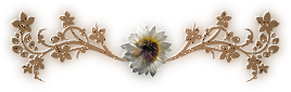 Blog Tour Summertime