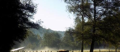 Matin d'automne photo éditée