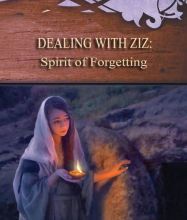 Ebook for iphone 4 free download Dealing with Ziz: Spirit of Forgetting: Strategies for the Threshold #2 by Anne Hamilton