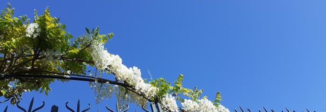 Mes livres du mois de mai