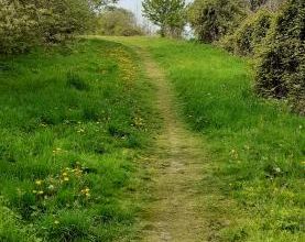 Mes livres du mois d’avril