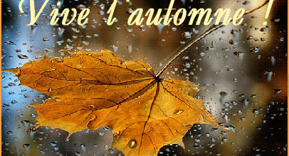 images scintillantes automne