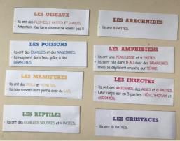 Le centre de Questionner le monde