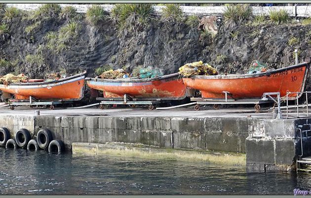 Les barques de pêche locales, toutes ou presque de couleur orange, égaient l'arrivée sur le quai - Edinburgh of the Seven Seas - Tristan da Cunha